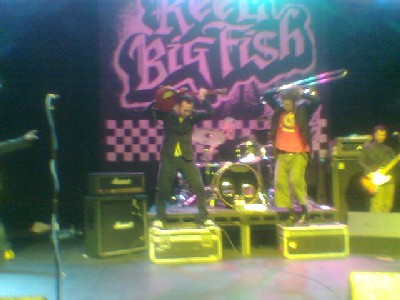 Reel Big Fish at The Cresset